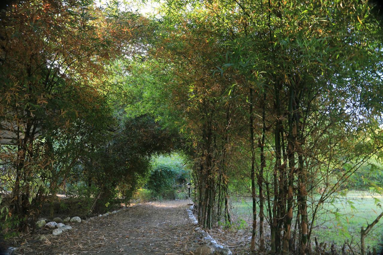 Parwati Wild Abode Corbett Resort Dhela Exterior foto